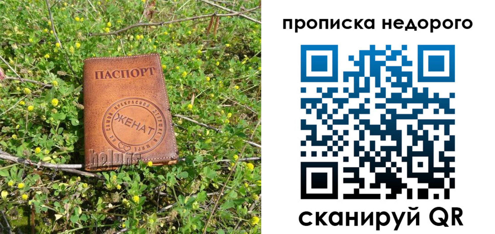регистрация для дет. сада в Шарье